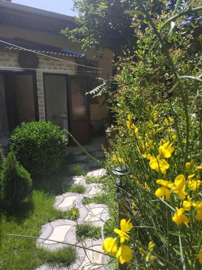 Sim Sim Hostel & Guest House Near The Church Samarkand Exteriér fotografie