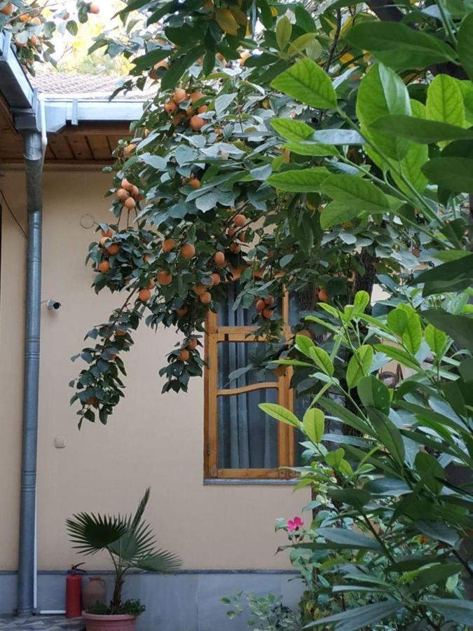 Sim Sim Hostel & Guest House Near The Church Samarkand Exteriér fotografie