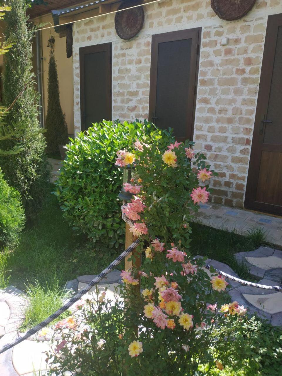 Sim Sim Hostel & Guest House Near The Church Samarkand Exteriér fotografie