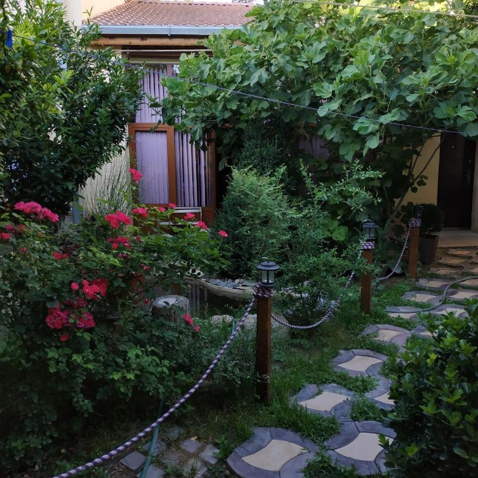 Sim Sim Hostel & Guest House Near The Church Samarkand Exteriér fotografie