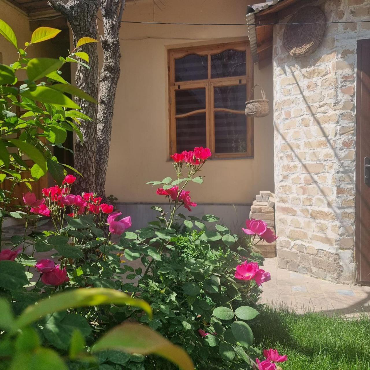 Sim Sim Hostel & Guest House Near The Church Samarkand Exteriér fotografie