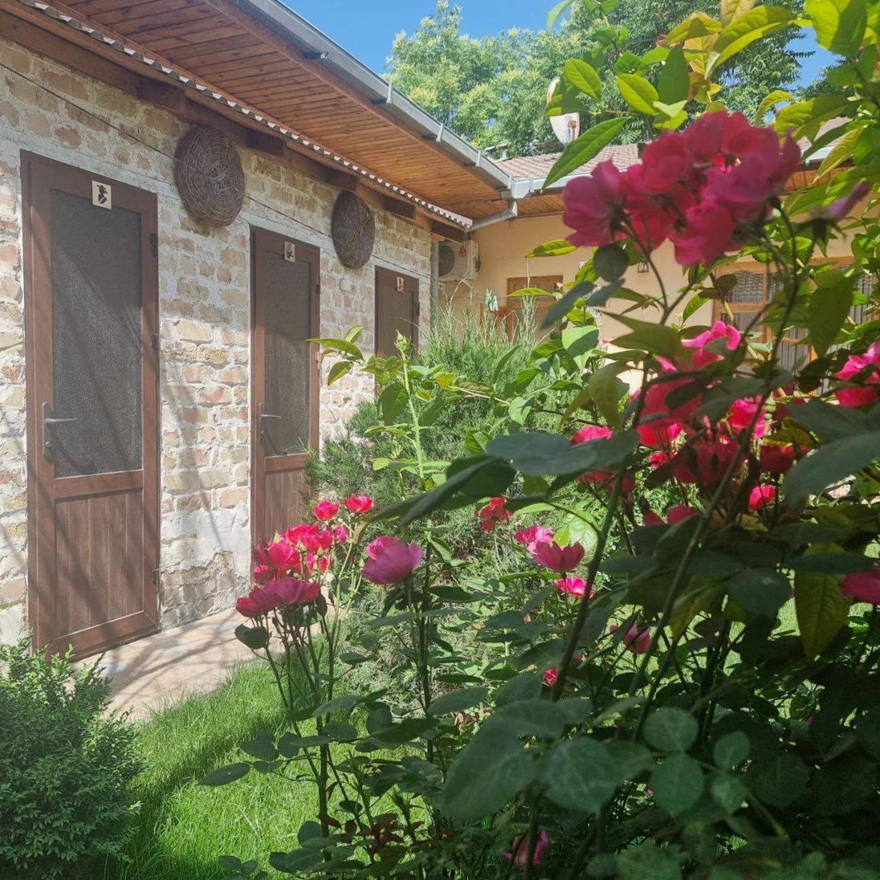 Sim Sim Hostel & Guest House Near The Church Samarkand Exteriér fotografie